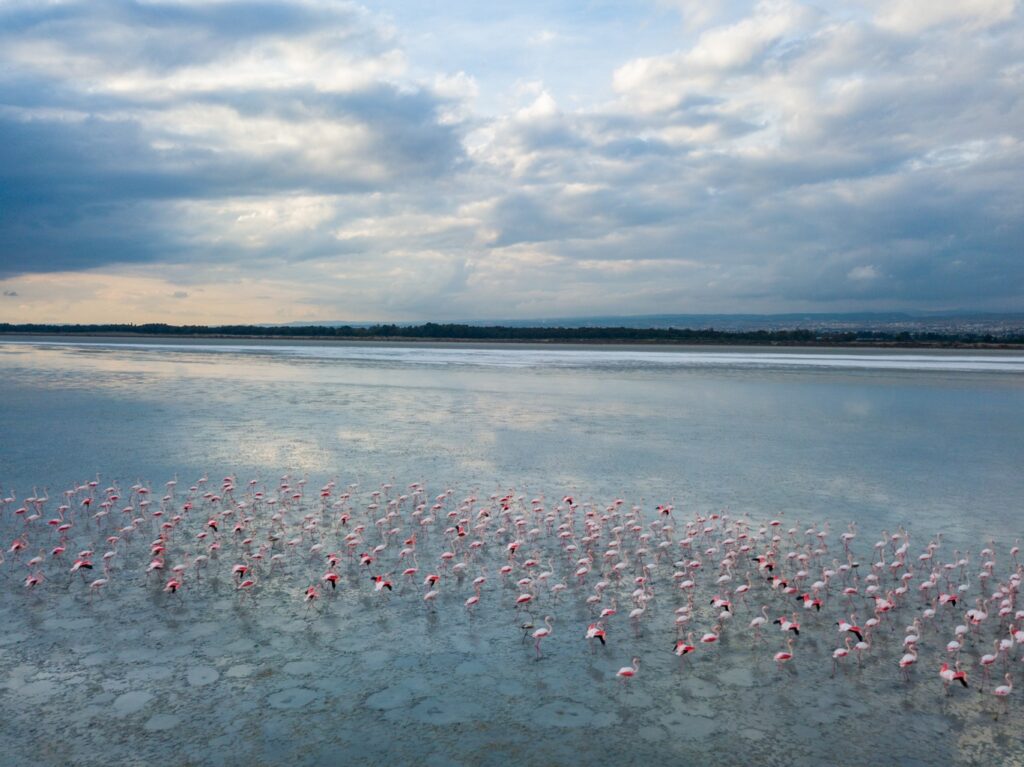 Akrotiri Salt Lake