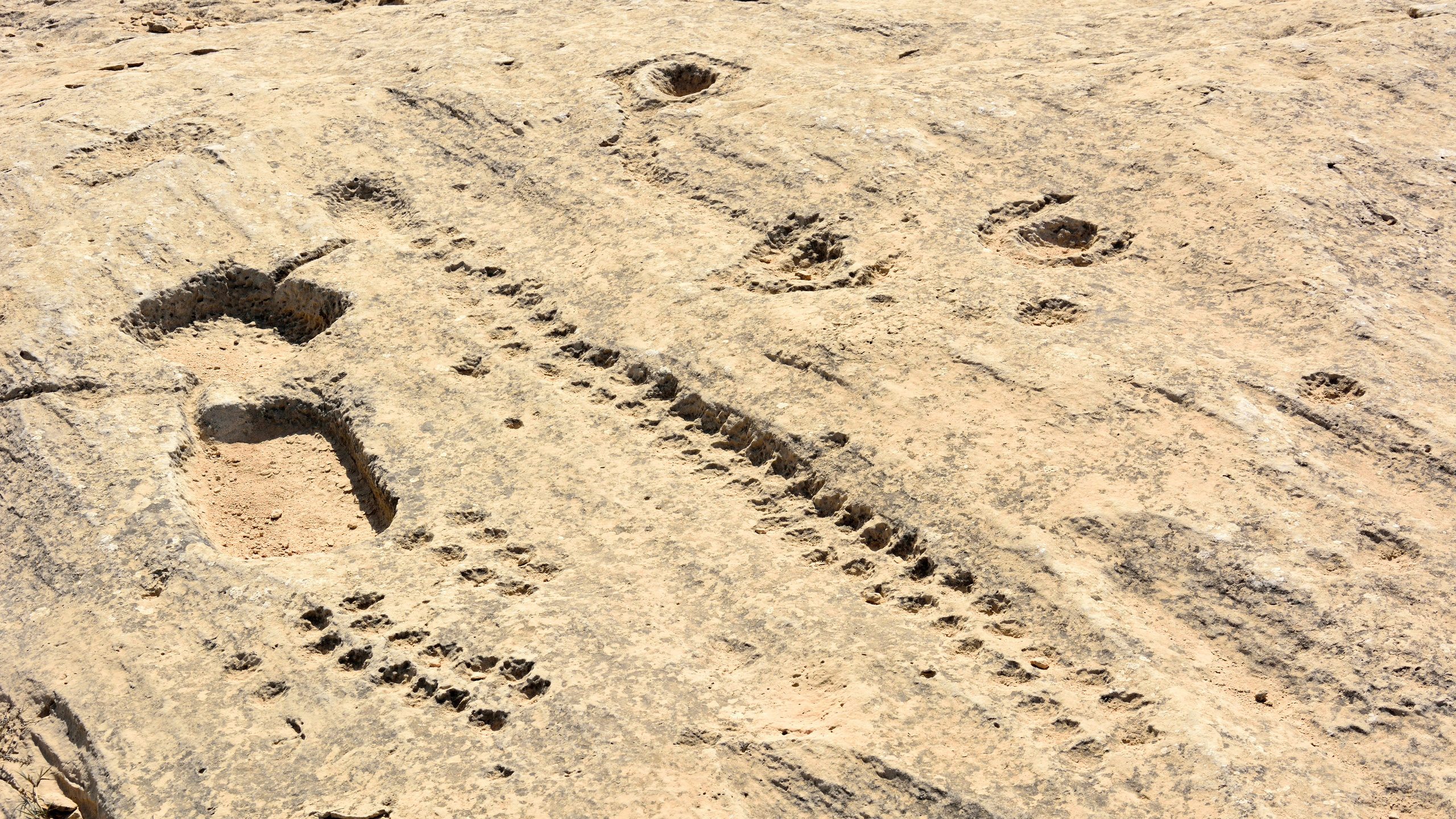 Al Jassasiya Carvings - Awe-inspiring Places