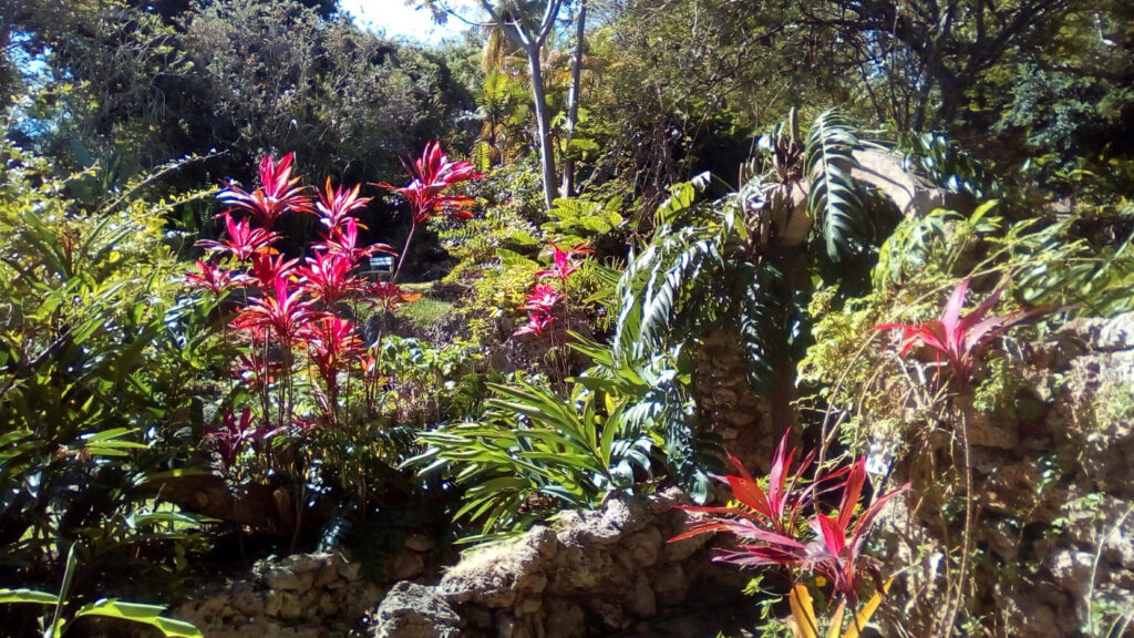 Andromeda Botanic Gardens