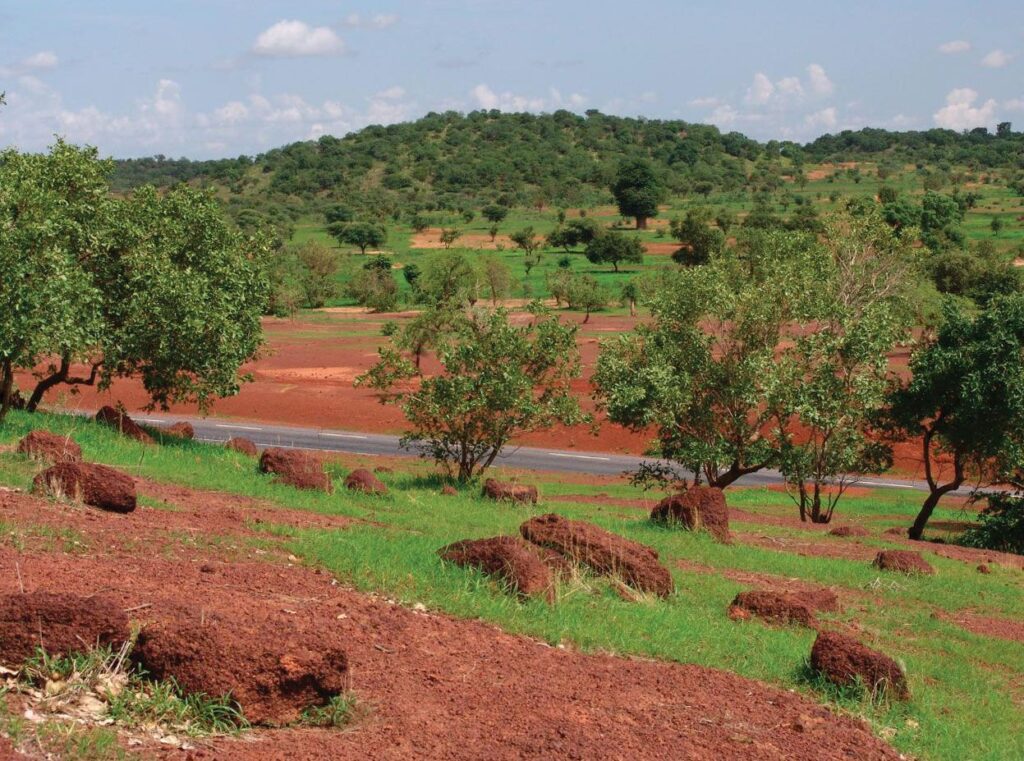 Ansongo-Ménaka Fauna Reserve