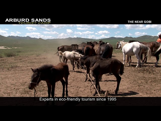 Arburd Sands