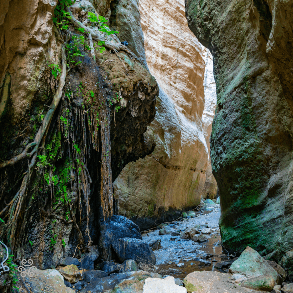Avakas Gorge