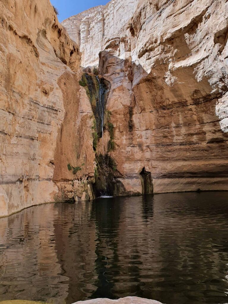 Avdat National Park