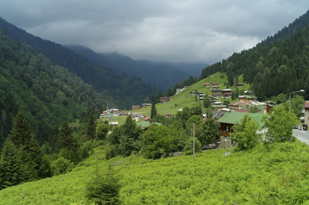 Ayder Plateau