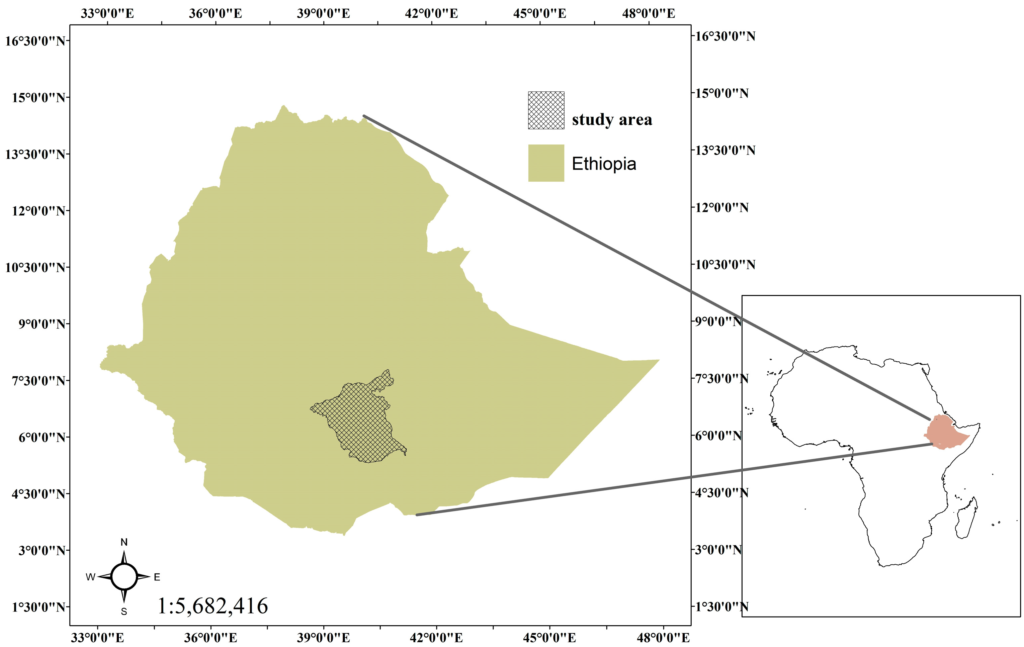 Bale Eco-Region