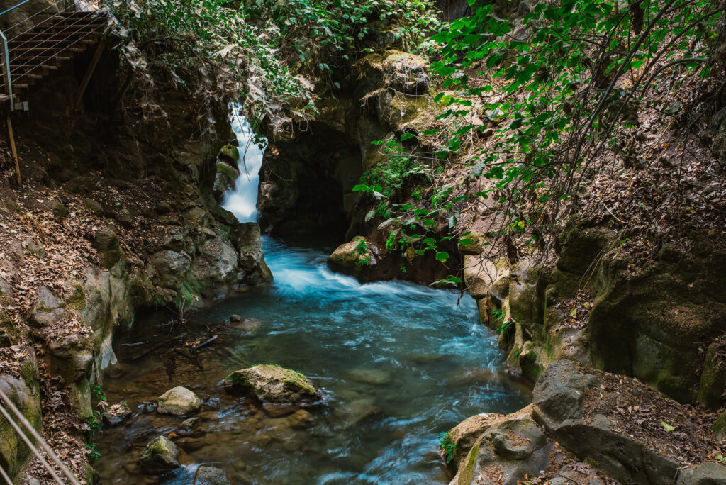 Banias Nature Reserve