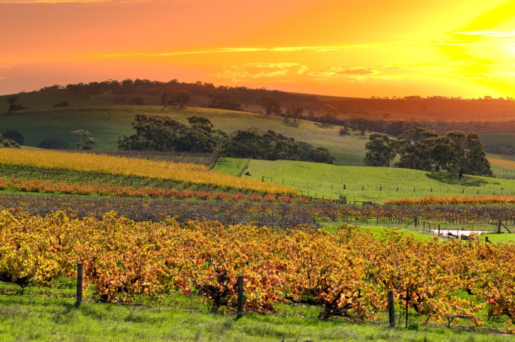 Barossa Valley