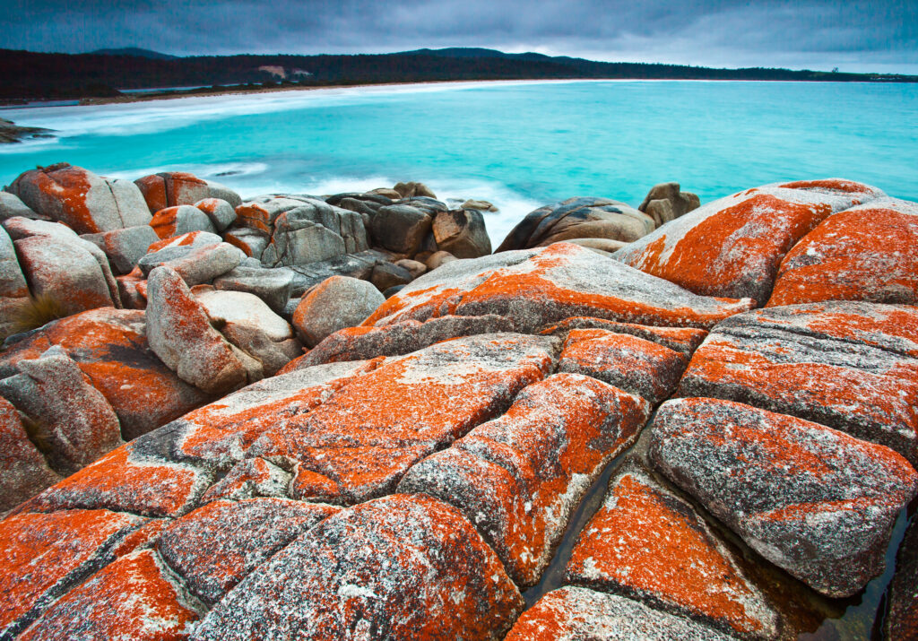 The Bay Of Fires