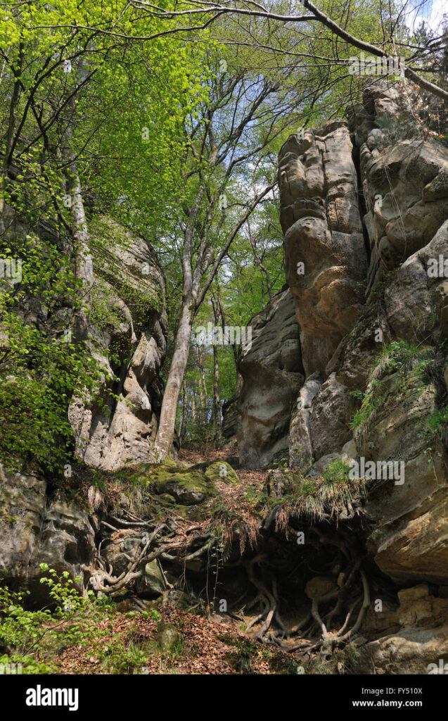 Berdorf Rock Formations