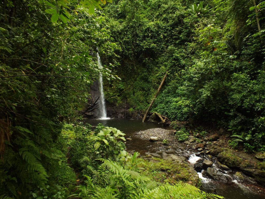 Bombaim Waterfalls