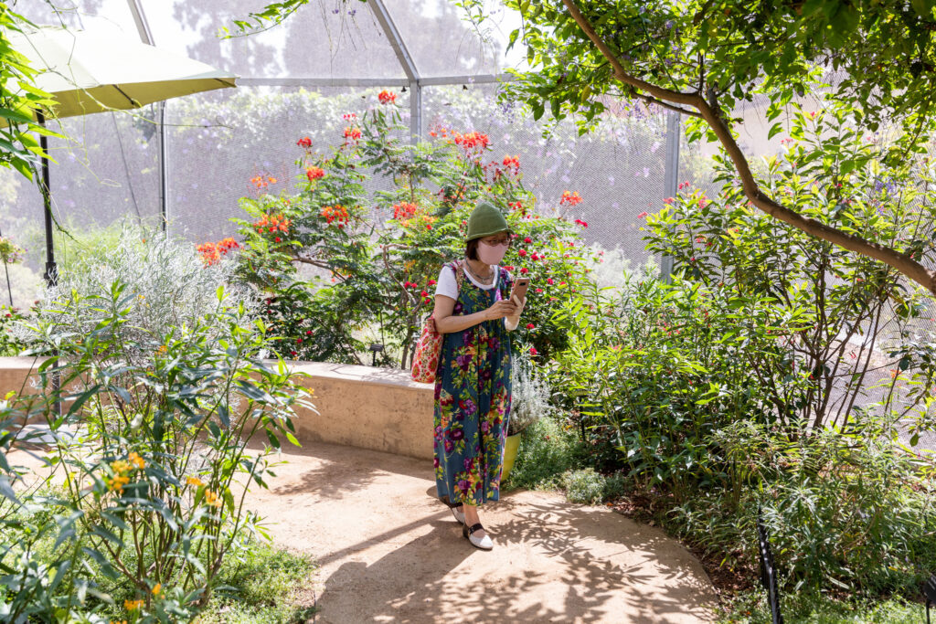 Butterfly Pavilion