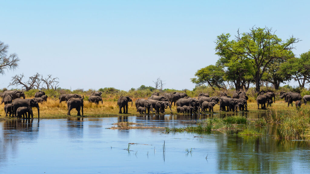 Caprivi Strip