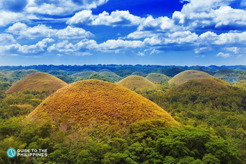 Chocolate Hills