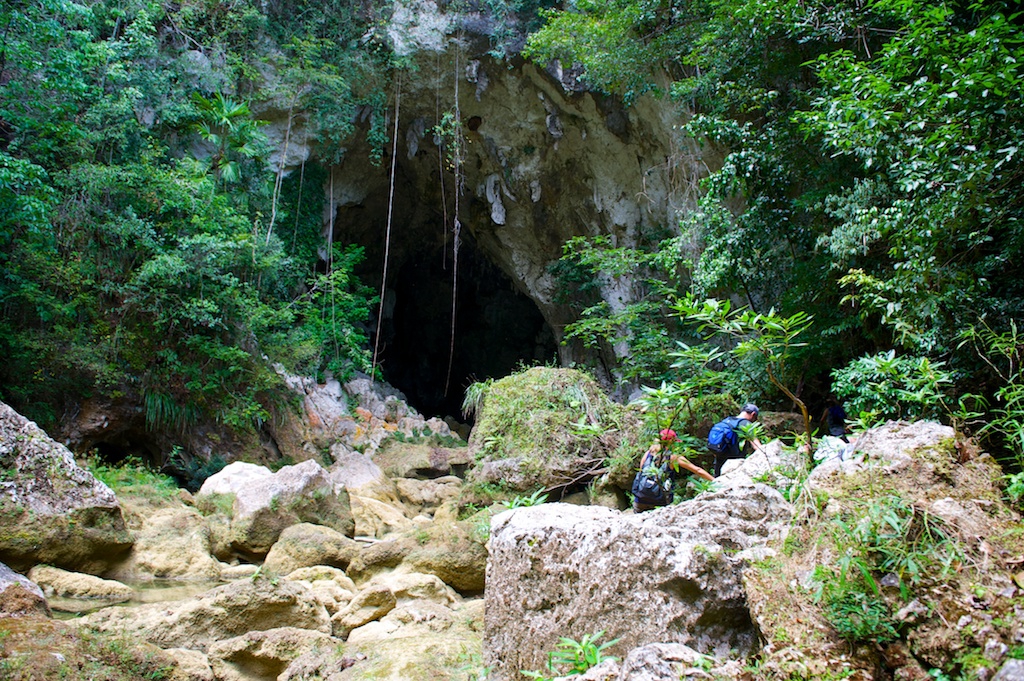 Columbia Forest Reserve