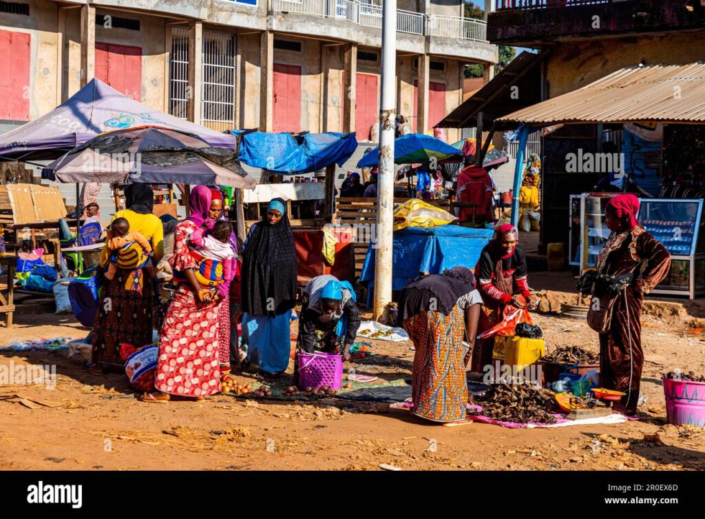 Conakry Artisan Market