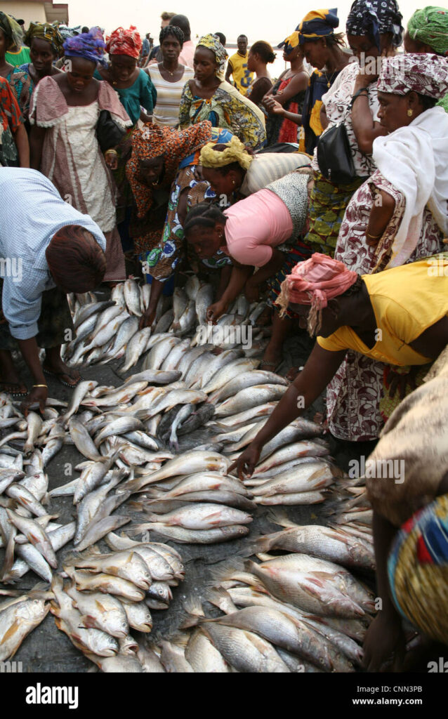 Conakry Fish Market