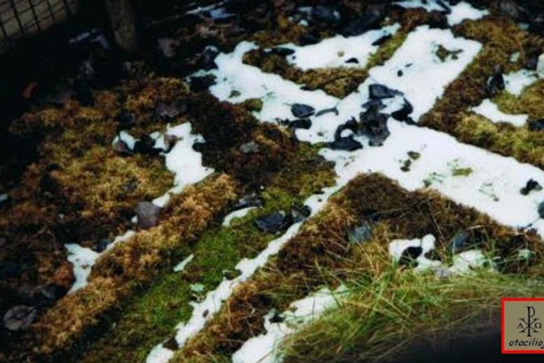 Eisenberg Lawn Cross