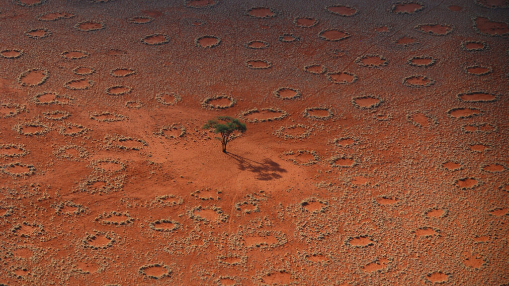 Fairy Circles of Southern Africa