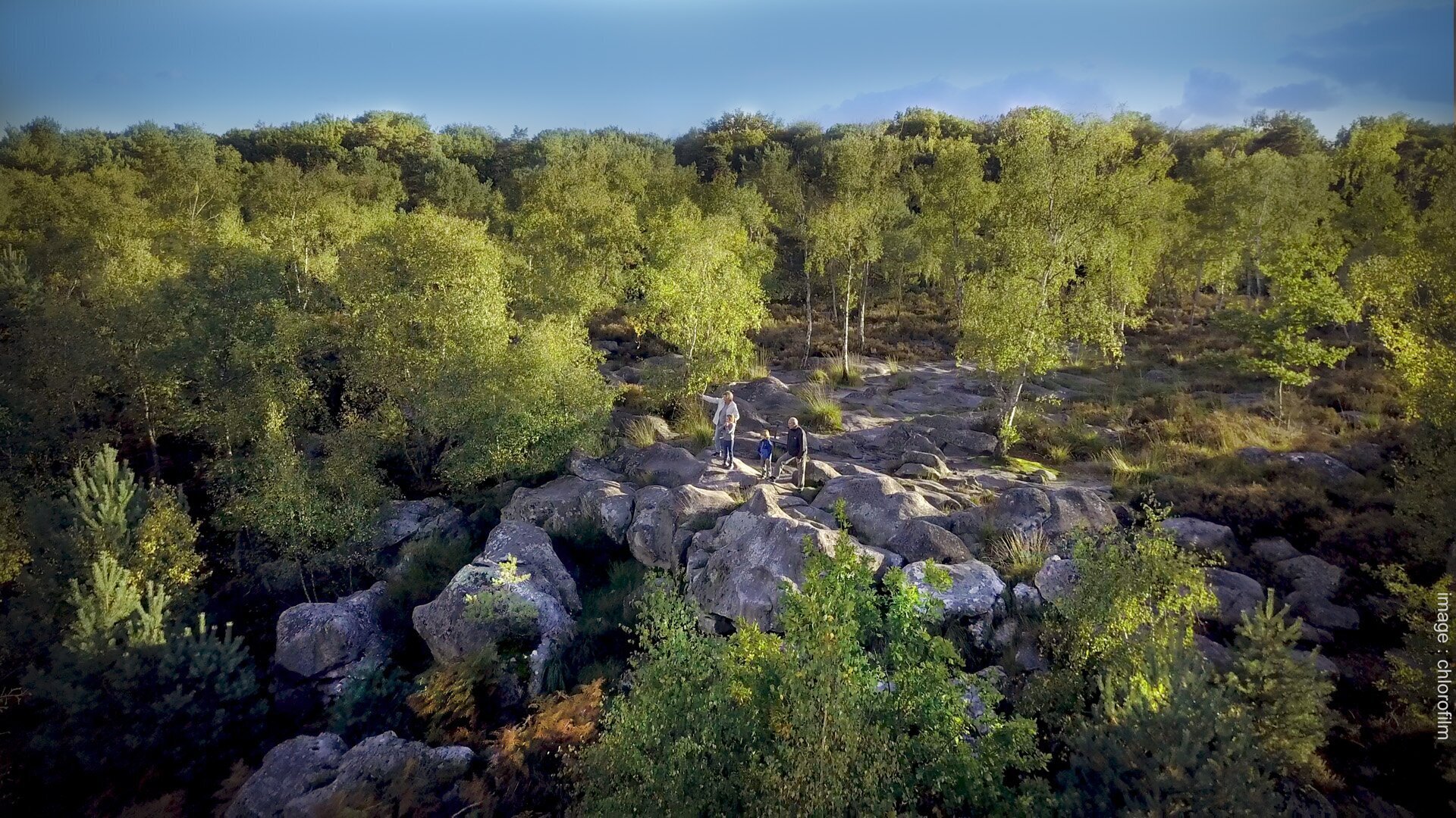 Fontainebleau Forest Awe inspiring Places fontainebleau-forest-awe-inspiring-places