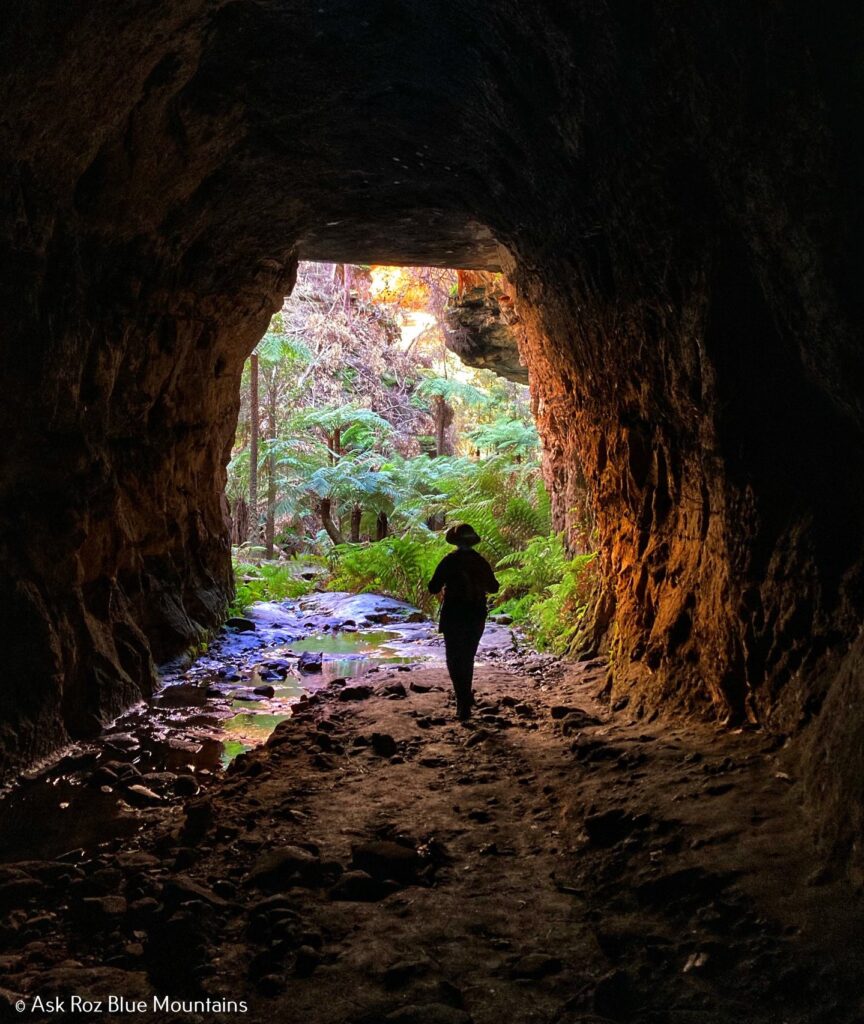 Glowworm Tunnel