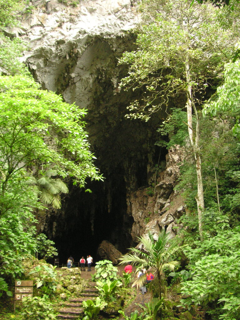 Guacharo National Park