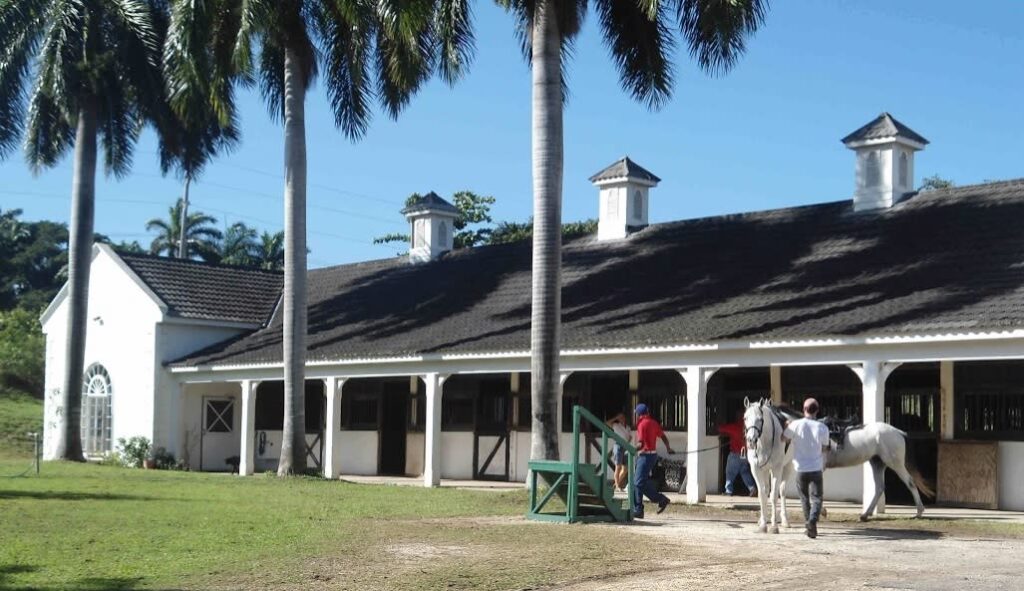 Half Moon Equestrian Center