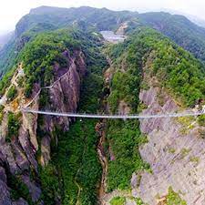 Haohan Qiao — Brave Men's Bridge