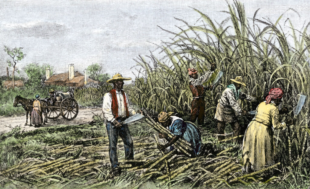 Historical sugar plantation