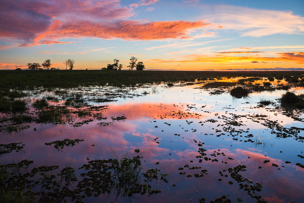 Ibera Wetlands Awe Inspiring Places