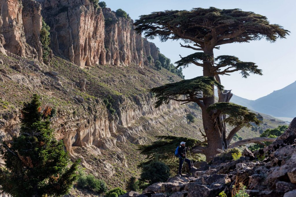 Ifrane National Park