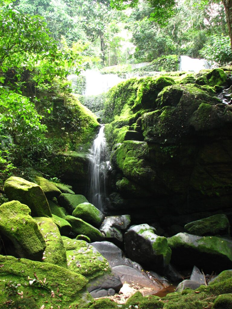 Ivindo National Park