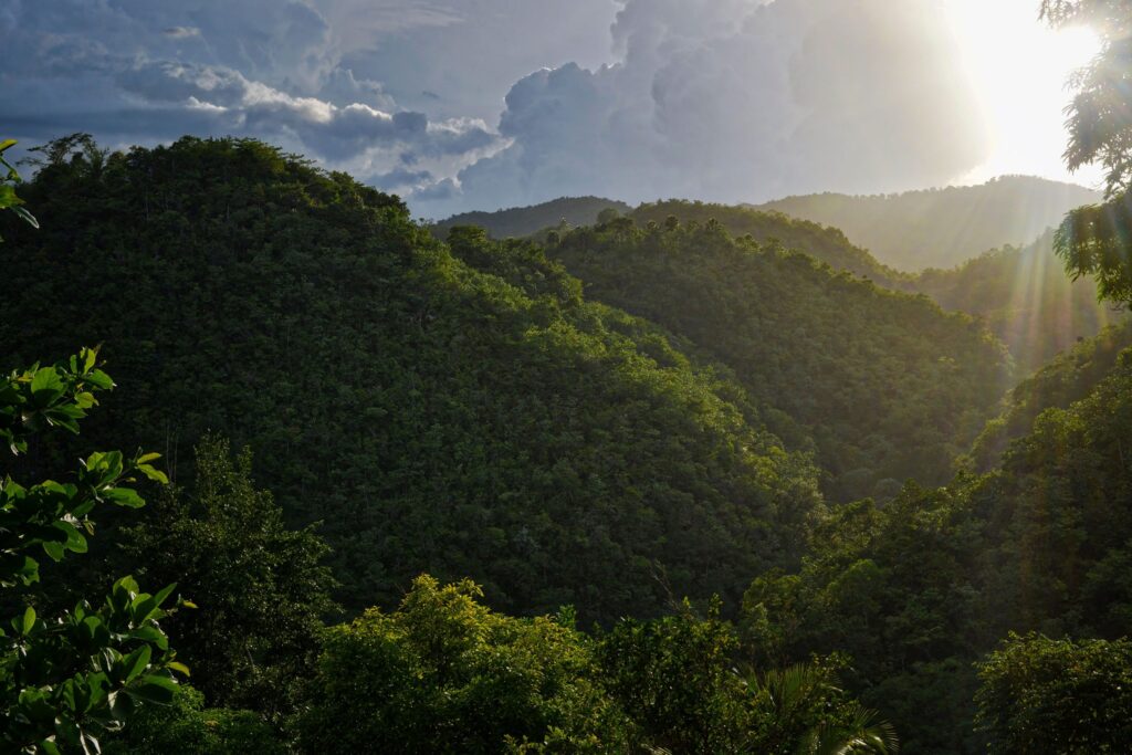 Jamaica Environment Trust