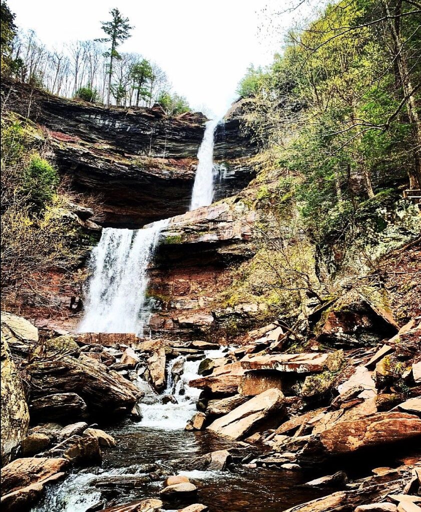 Kaaterskill Falls and the Bayard of Dogs