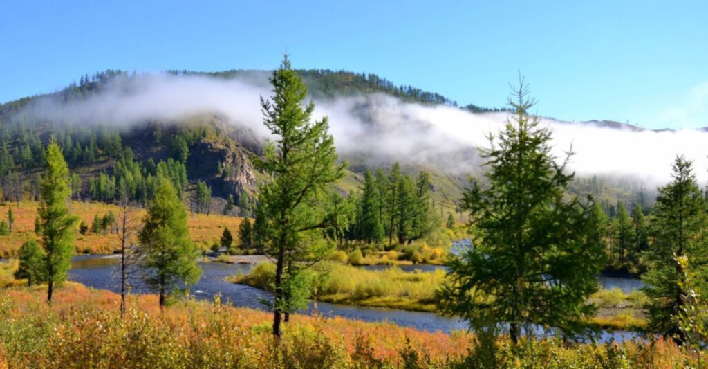 Khan Khentii Strictly Protected Area