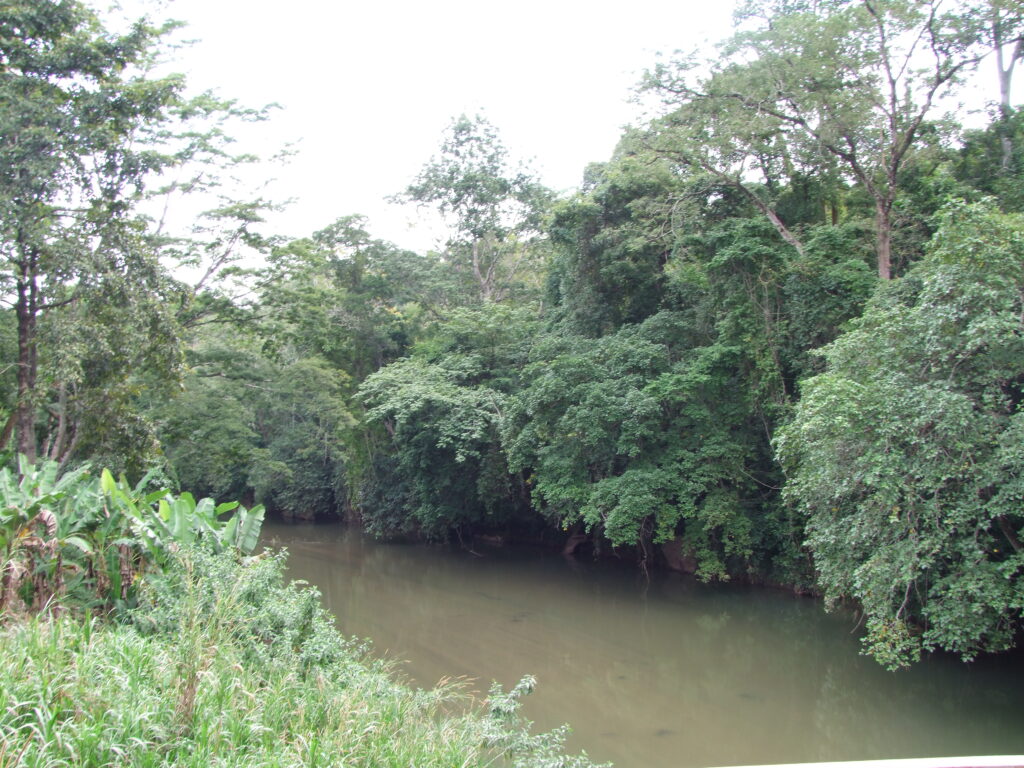 Kimboza Forest Reserve