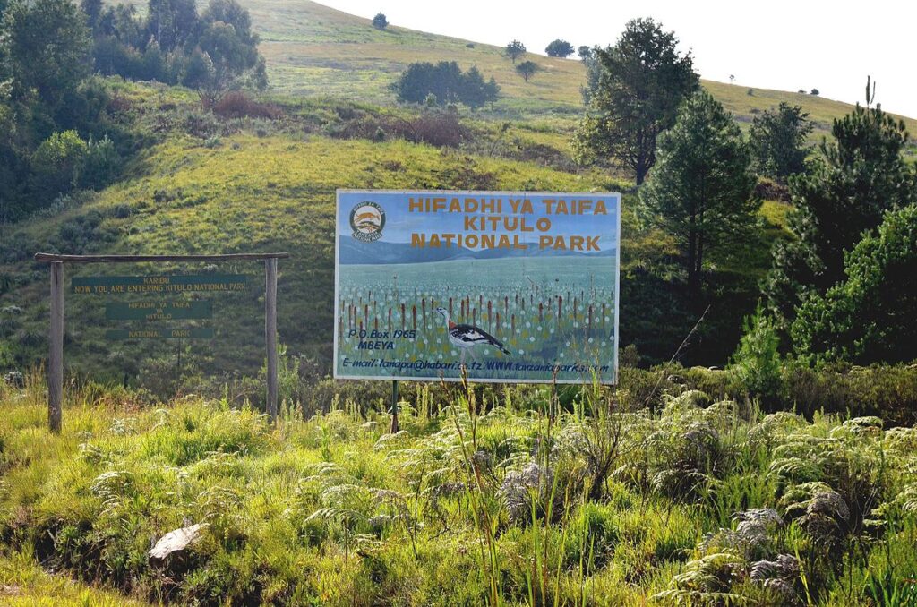 Kitulo Plateau National Park