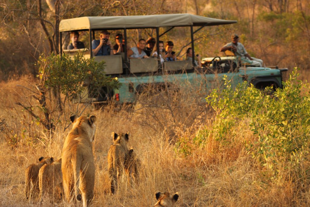 Kruger National Park