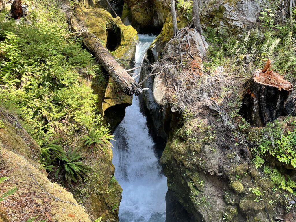 Ladder Creek Falls and Gardens