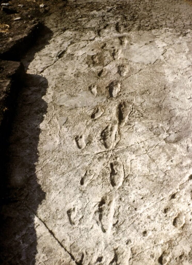 Laetoli Footprints