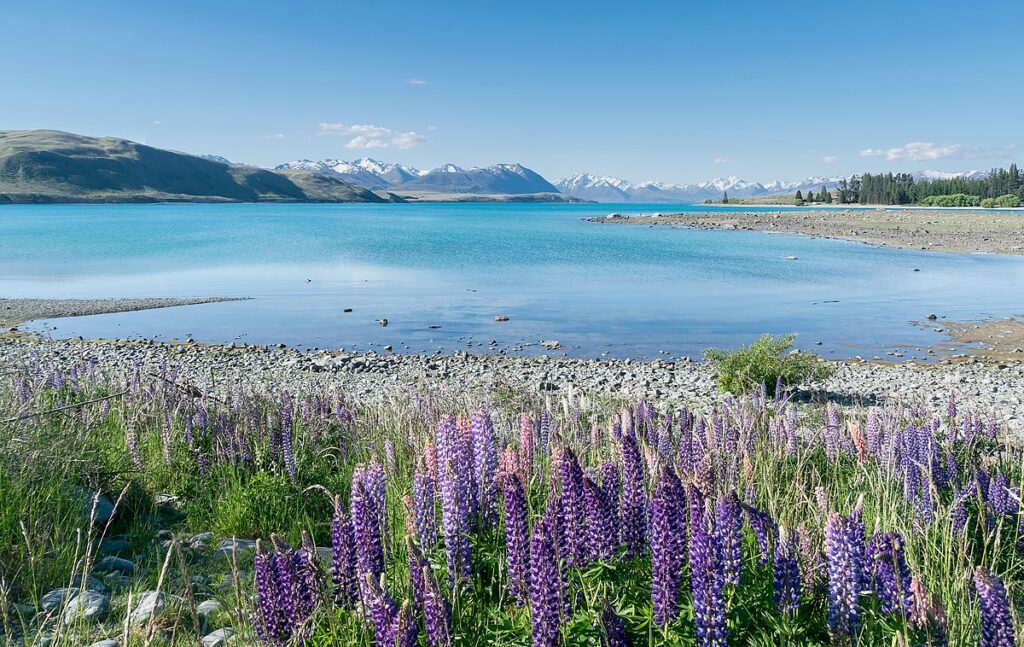 Lake Tekapo