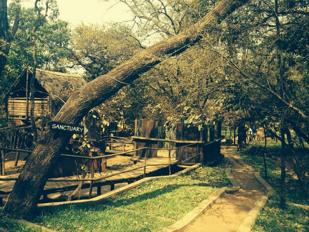 Lilongwe Nature Reserve