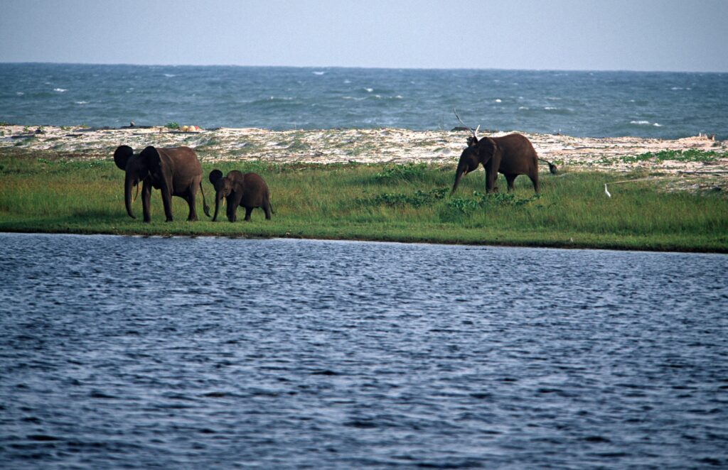 Loango National Park