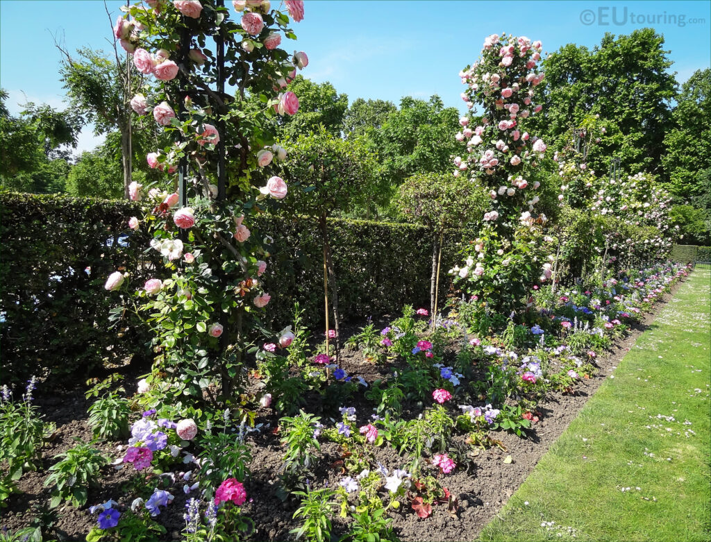 Luxembourg Rose Garden