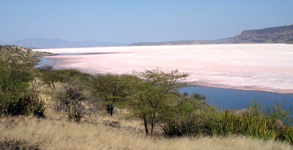 Magadi Soda Lake