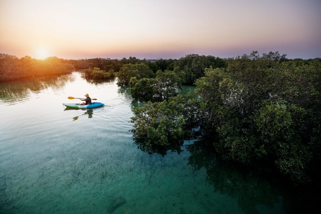 Mangrove National Park