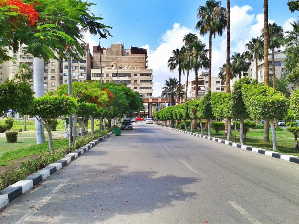 Mansoura