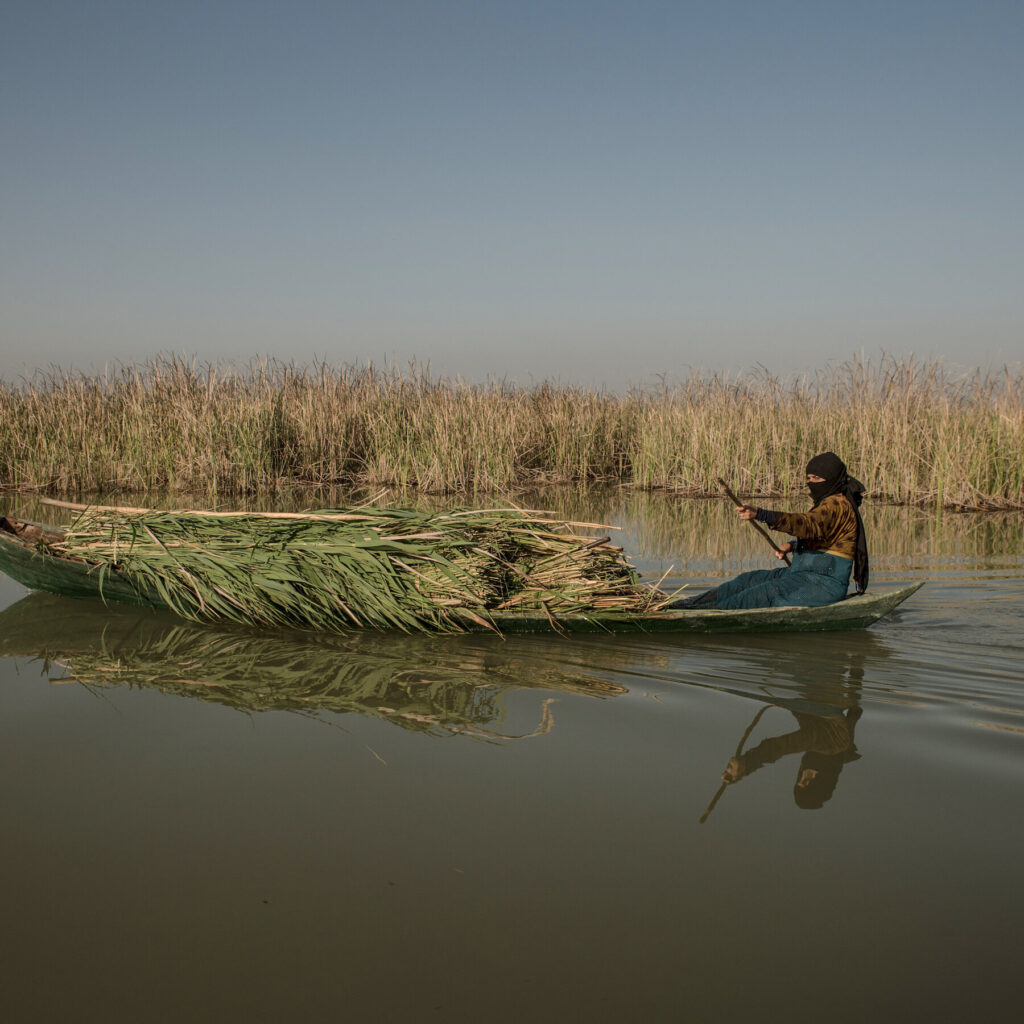 Marshes of Southern Iraq