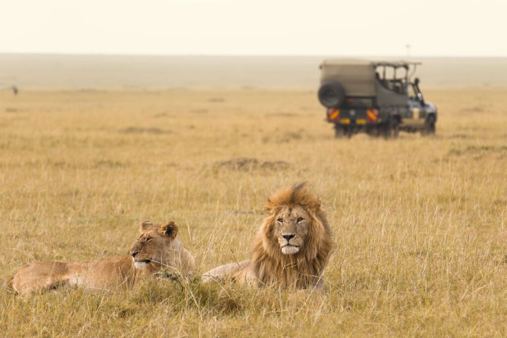 Masai Mara Game Reserve