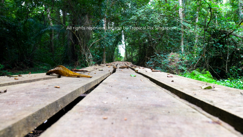 Mayumba National Park