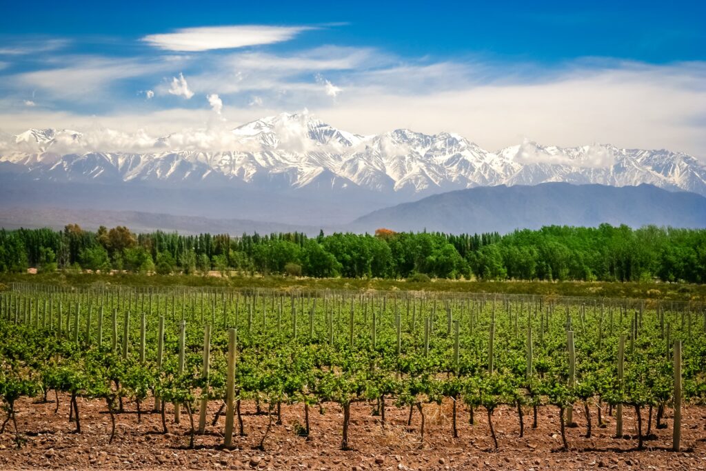 Mendoza Wine Regions